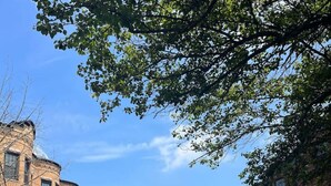Une rue bordée de voitures garées et d’immeubles, comprenant un mélange de bâtiments résidentiels et commerciaux.