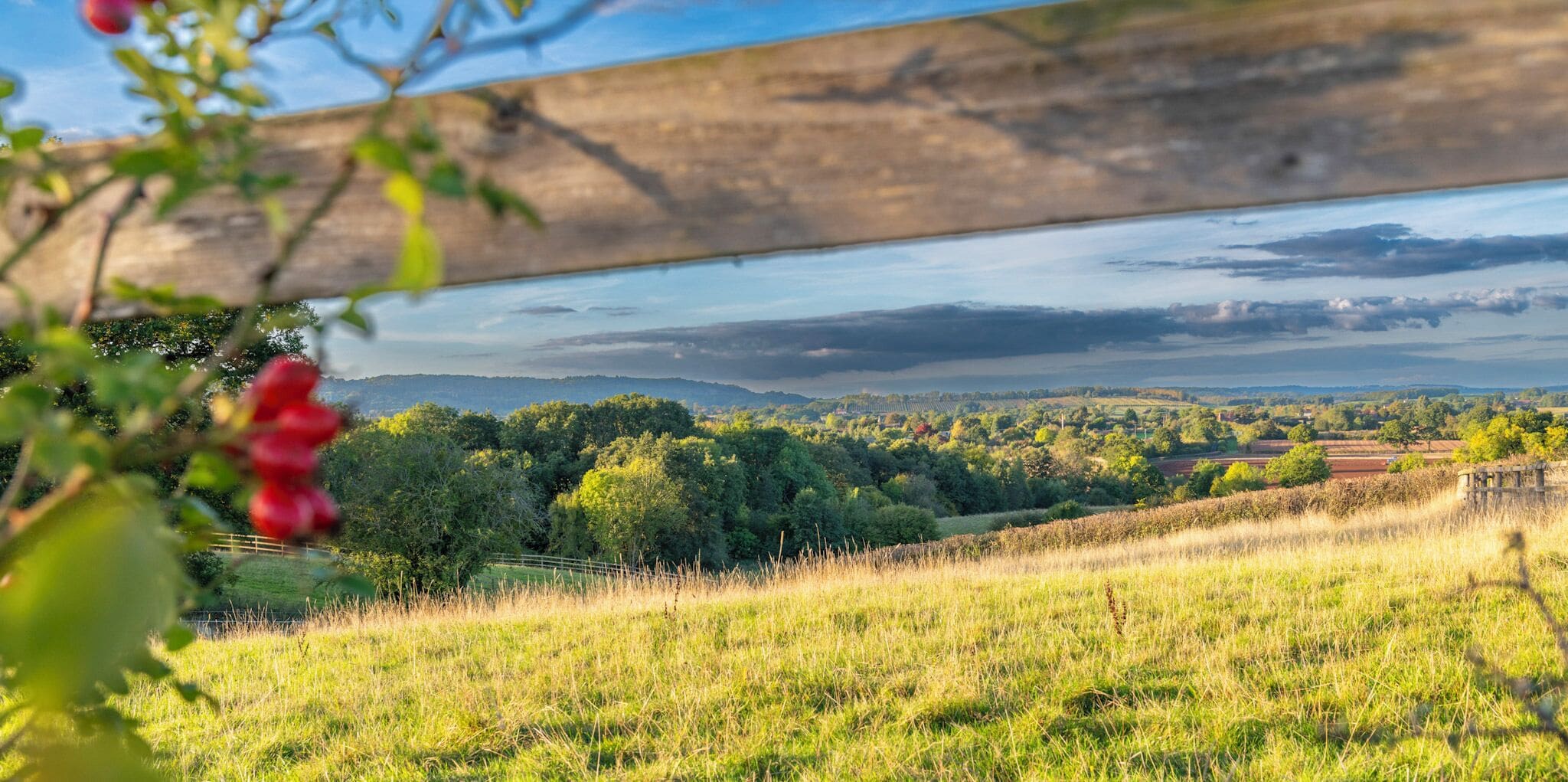 A rural landscape with a wooden fence, greenery, and distant hills.