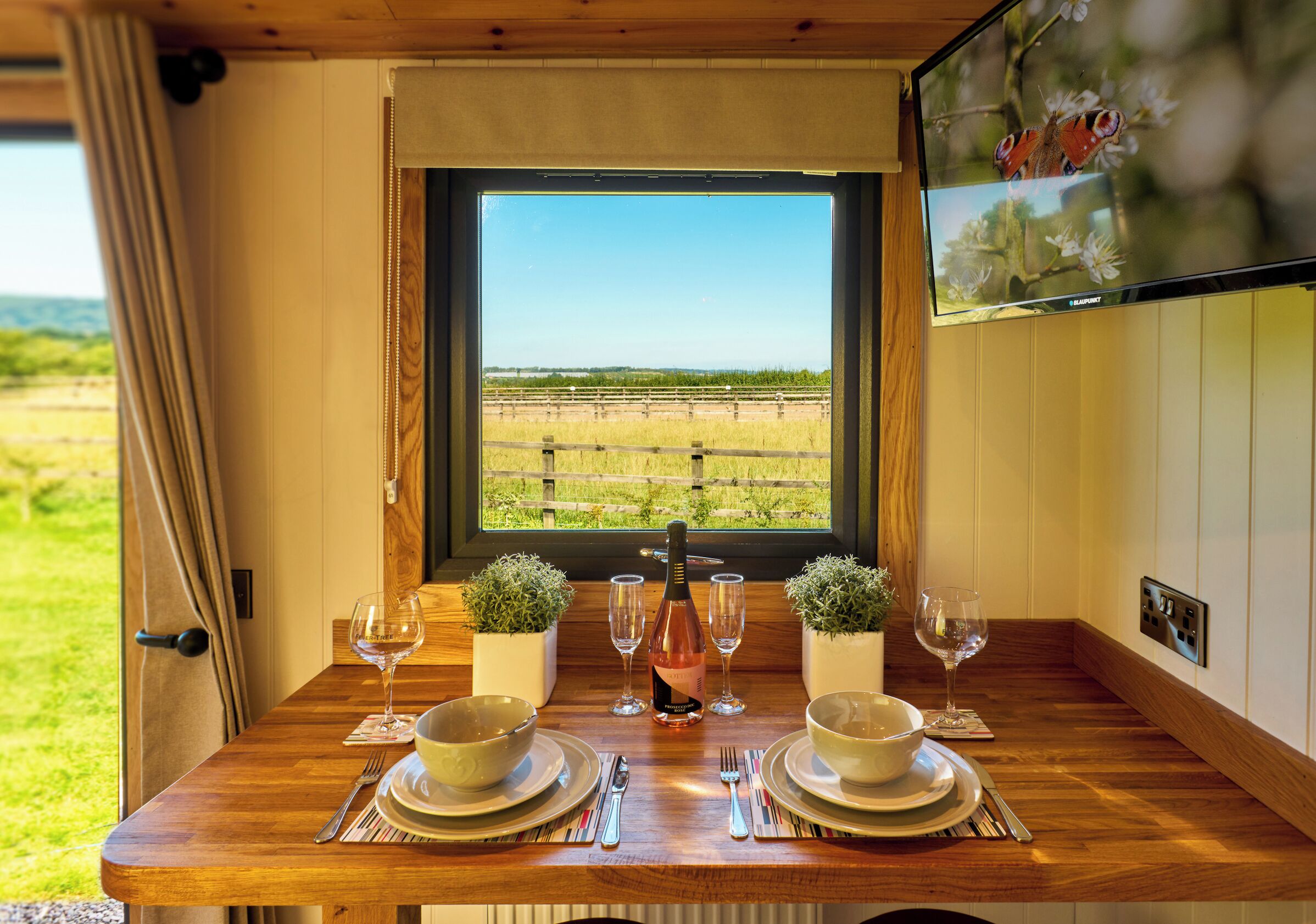 A dining table set with plates, cutlery, and glasses, with a bottle of champagne, potted plants, and a view of a field through a window.
