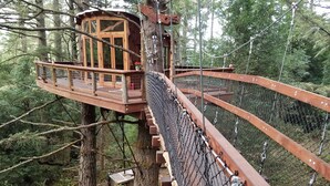 A treehouse with a wooden deck and a rope bridge. - Spectacular Treehouse on the California Sonoma Coast (Bodega Bay)