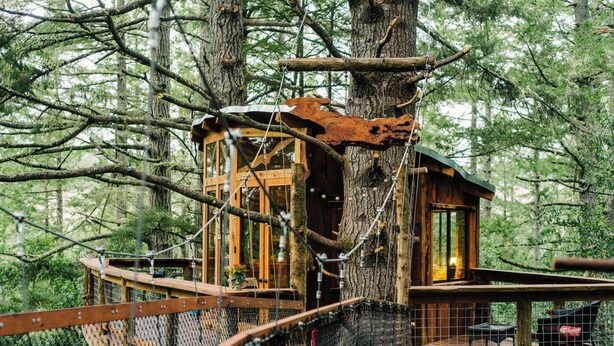 A treehouse with a wooden structure, rope bridges, and a fenced deck. - Spectacular Treehouse on the California Sonoma Coast (Bodega Bay)