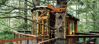 Spectacular Treehouse on the California Sonoma Coast