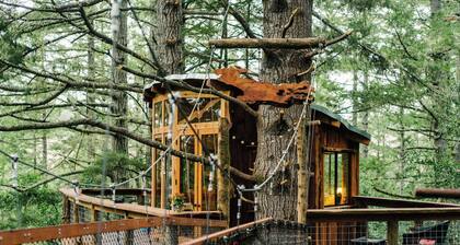 Spectacular Treehouse on the California Sonoma Coast