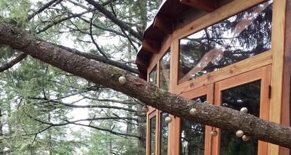 Spectacular Treehouse on the California Sonoma Coast