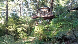 A treehouse with a wooden deck and railings, surrounded by dense forest. - Spectacular Treehouse on the California Sonoma Coast (Bodega Bay)