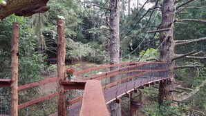 A wooden suspension bridge in a forested area with a wooden deck and a flower arrangement at the end. - Spectacular Treehouse on the California Sonoma Coast (Bodega Bay)