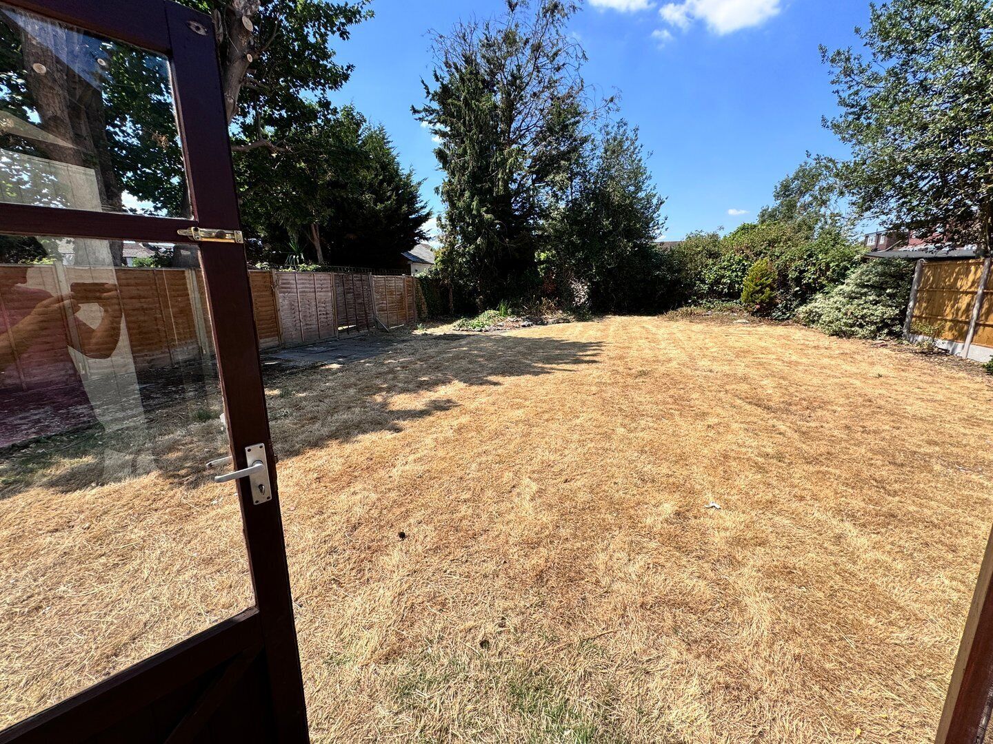 A backyard with a wooden fence, trees, and a clear sky.