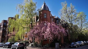 Un edificio storico con una torre imponente e un ciliegio in primo piano.