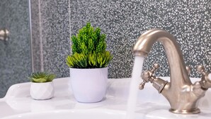 Ein Waschbecken mit Wasserhahn, eine Topfpflanze und eine geflieste Wand.