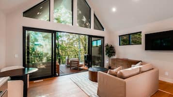 Télévision, cheminée