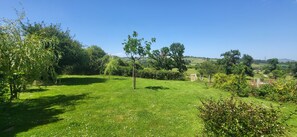 Eine grüne Wiese mit Bäumen und blauem Himmel.