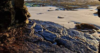 Orkney Retreats Ltd Island Farmhouses & Cottages