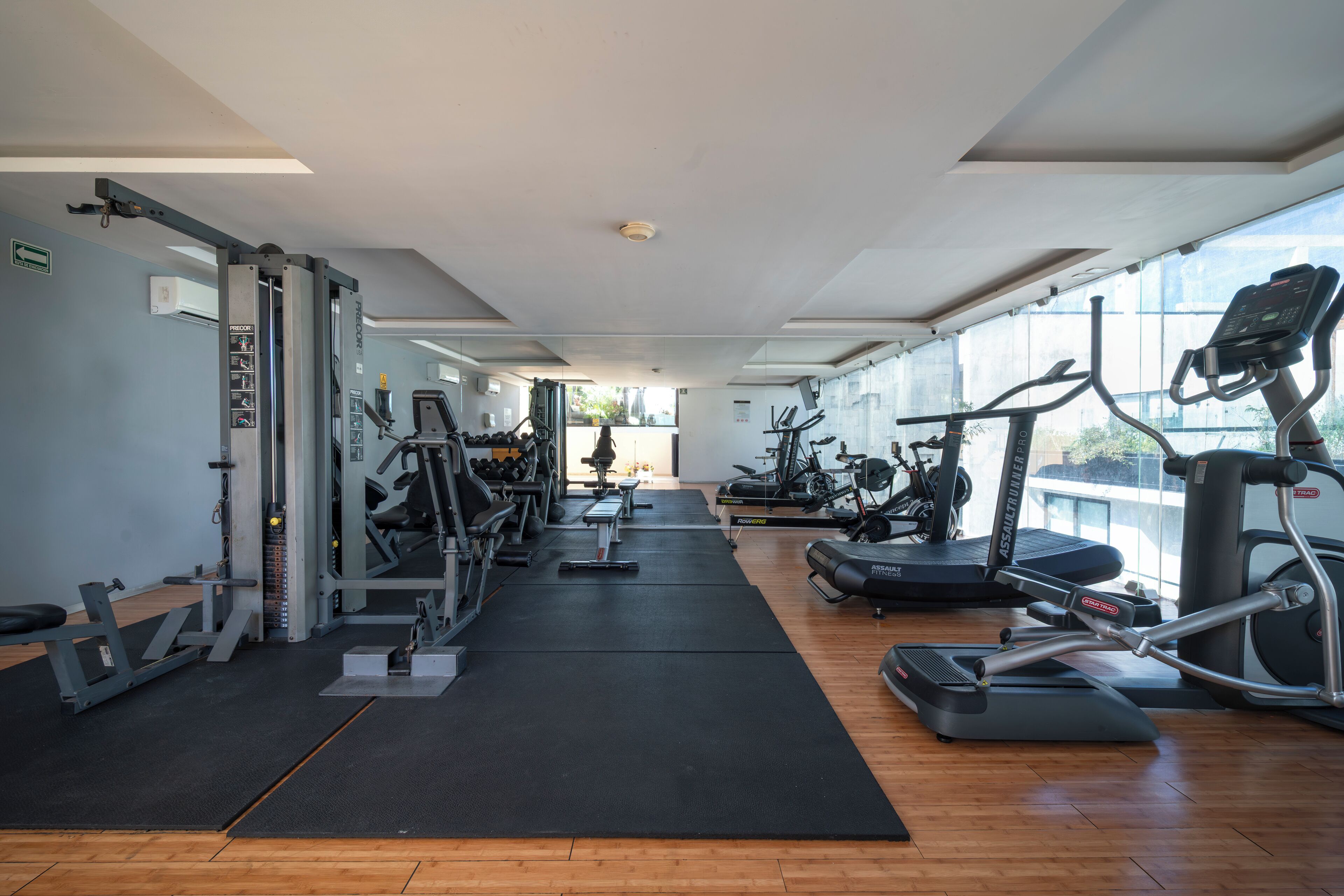 Un gimnasio con máquinas de cardio, equipo de levantamiento de pesas y un amplio ventanal que proporciona luz natural.