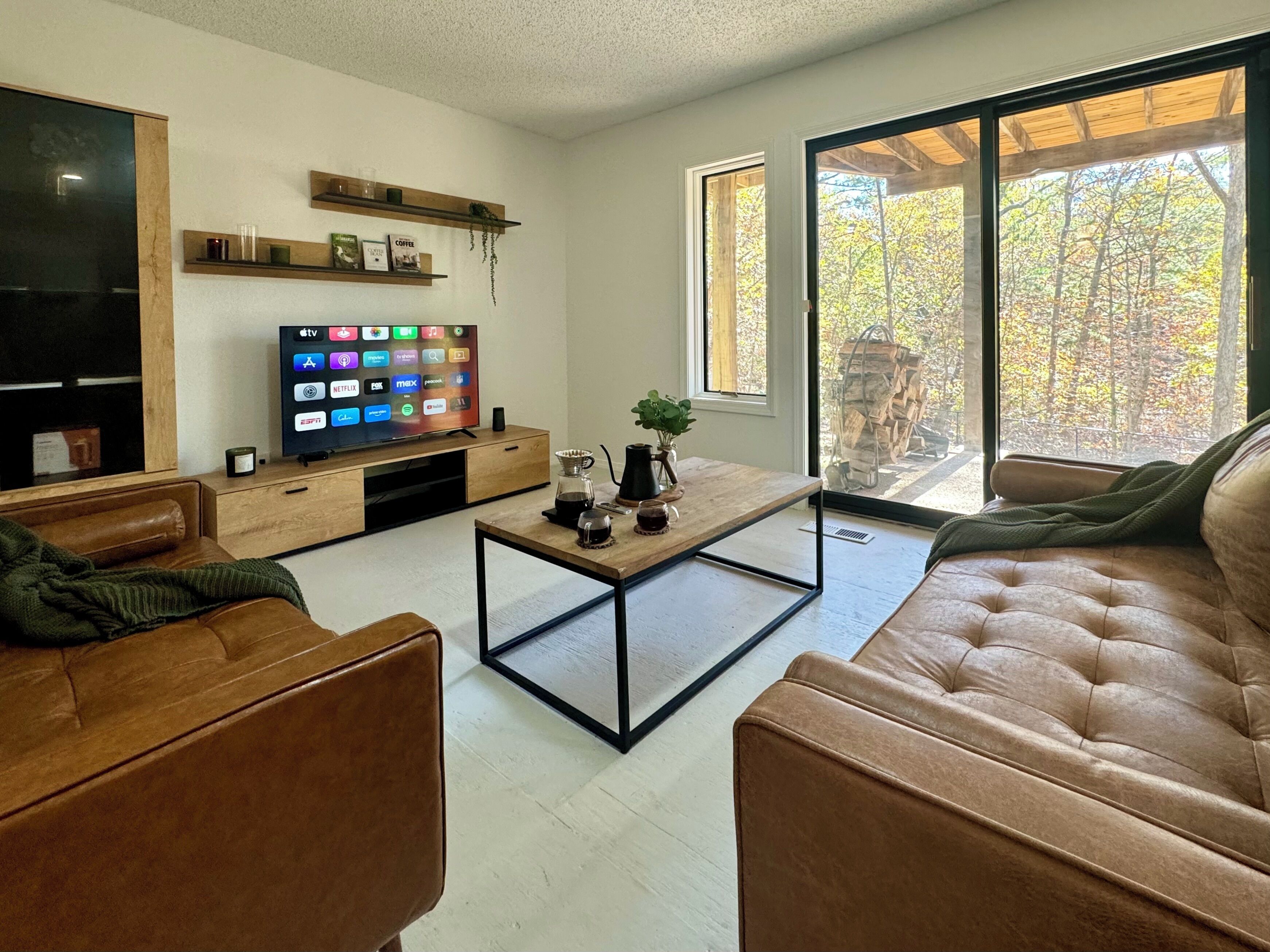 Smart TV, fireplace, books