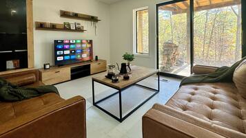 Smart TV, fireplace, books