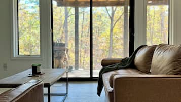 Älytelevisio, takka, kirjoja