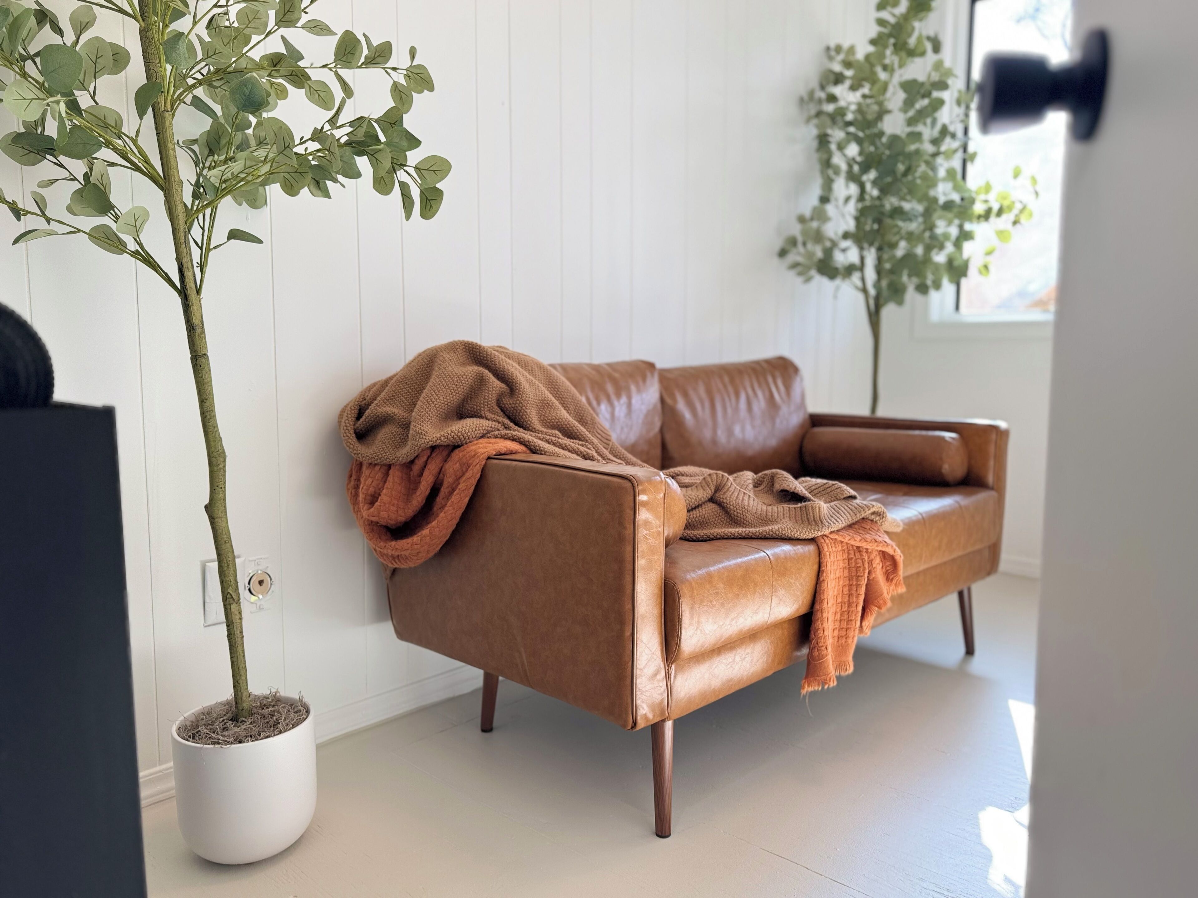 智能電視、壁爐、書籍