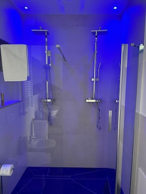 Regadera, secadora de cabello, bidet, toallas