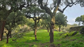 Overnatningsstedets område