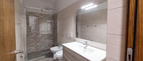 Shower, hair dryer, bidet, towels