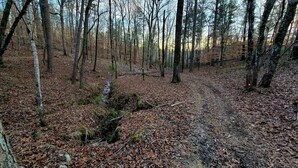 Uklassifisert bilde, 4 av 16, knapp