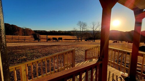 Peaceful Tiny House on 32 acres