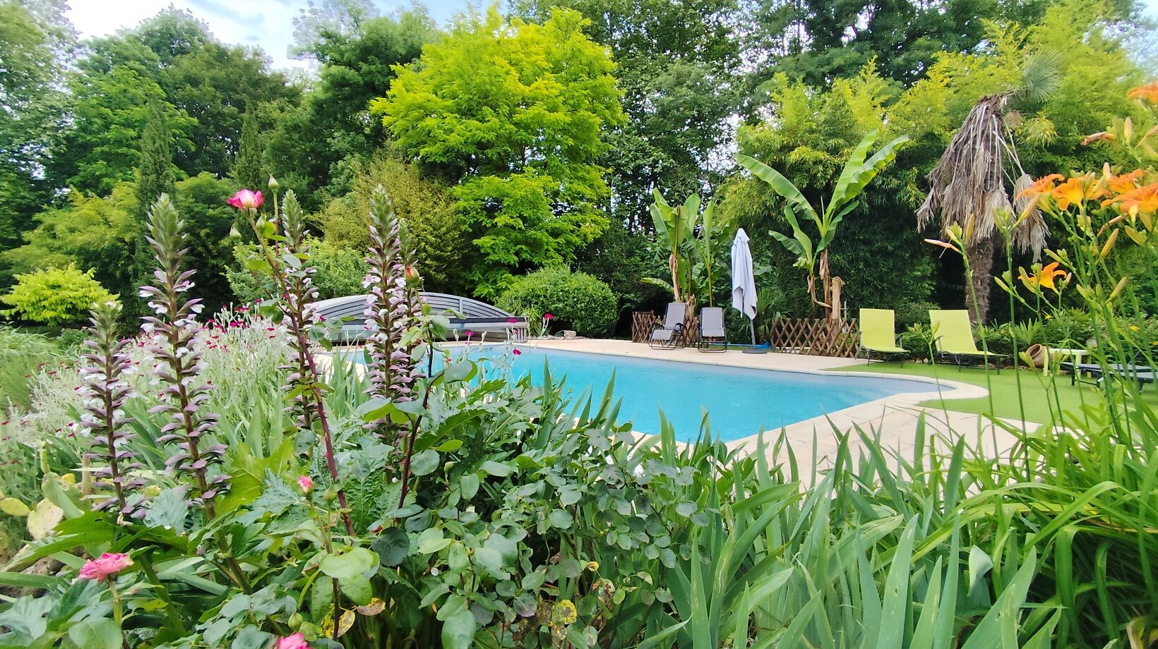 A swimming pool surrounded by lush greenery and a few lounge chairs.