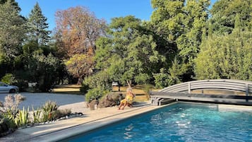 Piscine extérieure (ouverte en saison)