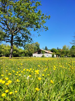 Udendørsområde