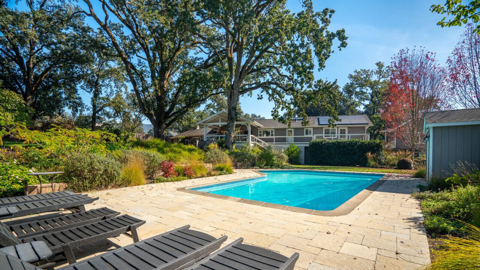 A rectangular swimming pool with a tiled deck, surrounded by lush greenery and trees.