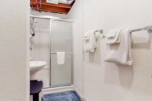 Hair dryer, towels, soap, shampoo - Dog-Friendly Mountain View Near Flathead Lake (Somers)