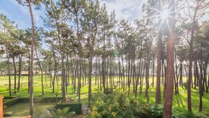 Una zona boscosa con alberi alti e un prato curato.