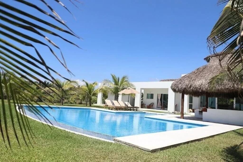 Una piscina con sillas de descanso, palmeras y una casa moderna con techo de paja.