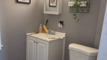 A bathroom with a white toilet, a sink with a mirror above it, and a plant on a shelf.