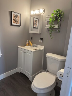 Shower, towels, soap, toilet paper - Serene 4-bedroom house with AC in charming Pleasantville (Pleasantville)