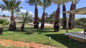 Ein Garten mit Palmen, einem Schwimmbecken und einer Pergola.