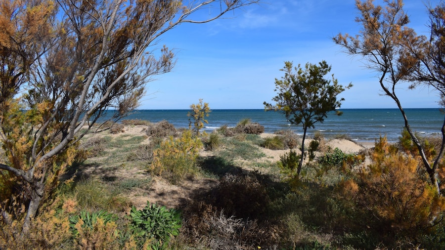 Ch103 in Oliva With 3 Bedrooms and 2 Bathrooms