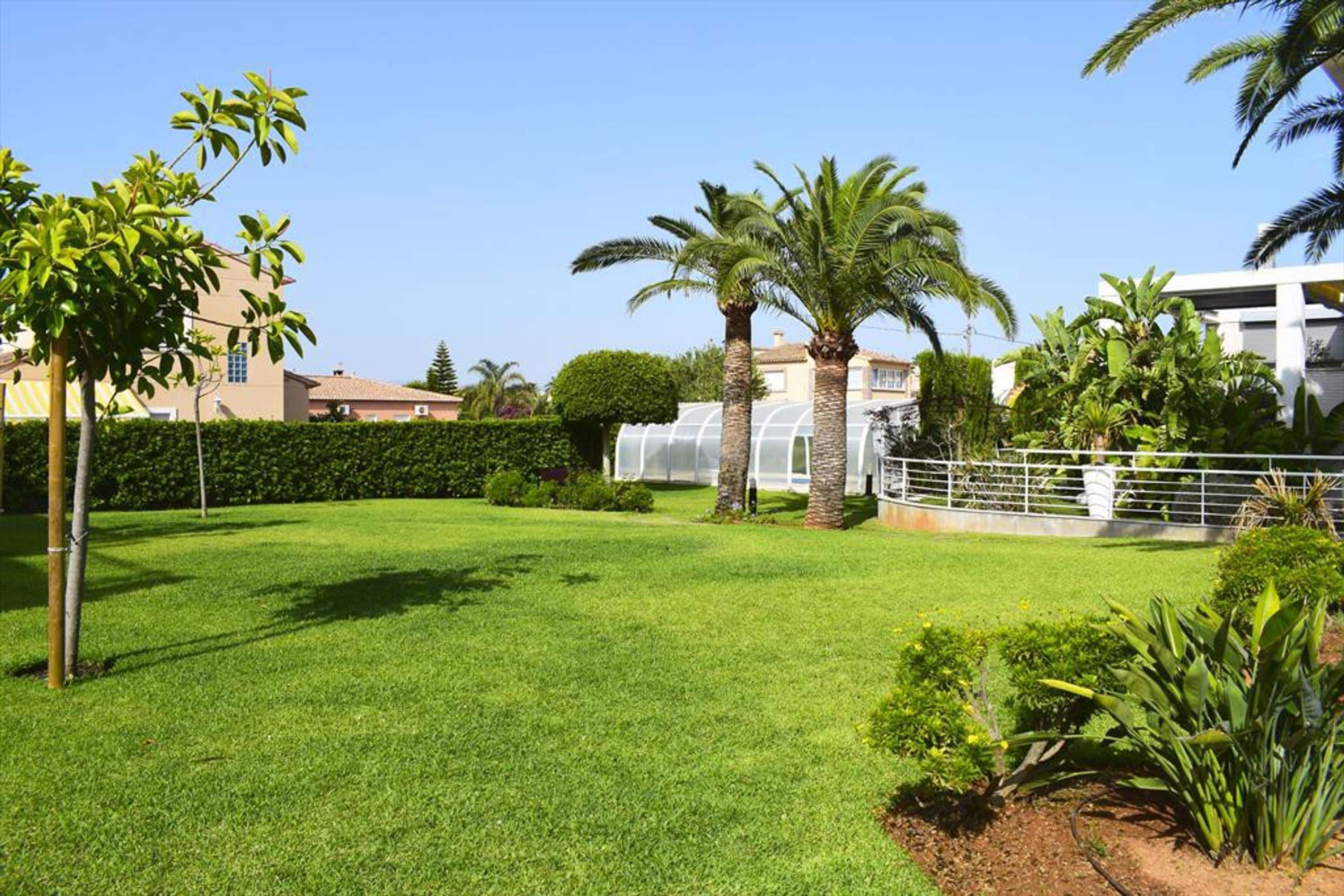 Un área verde bien cuidada, con palmeras y una estructura tipo invernadero.