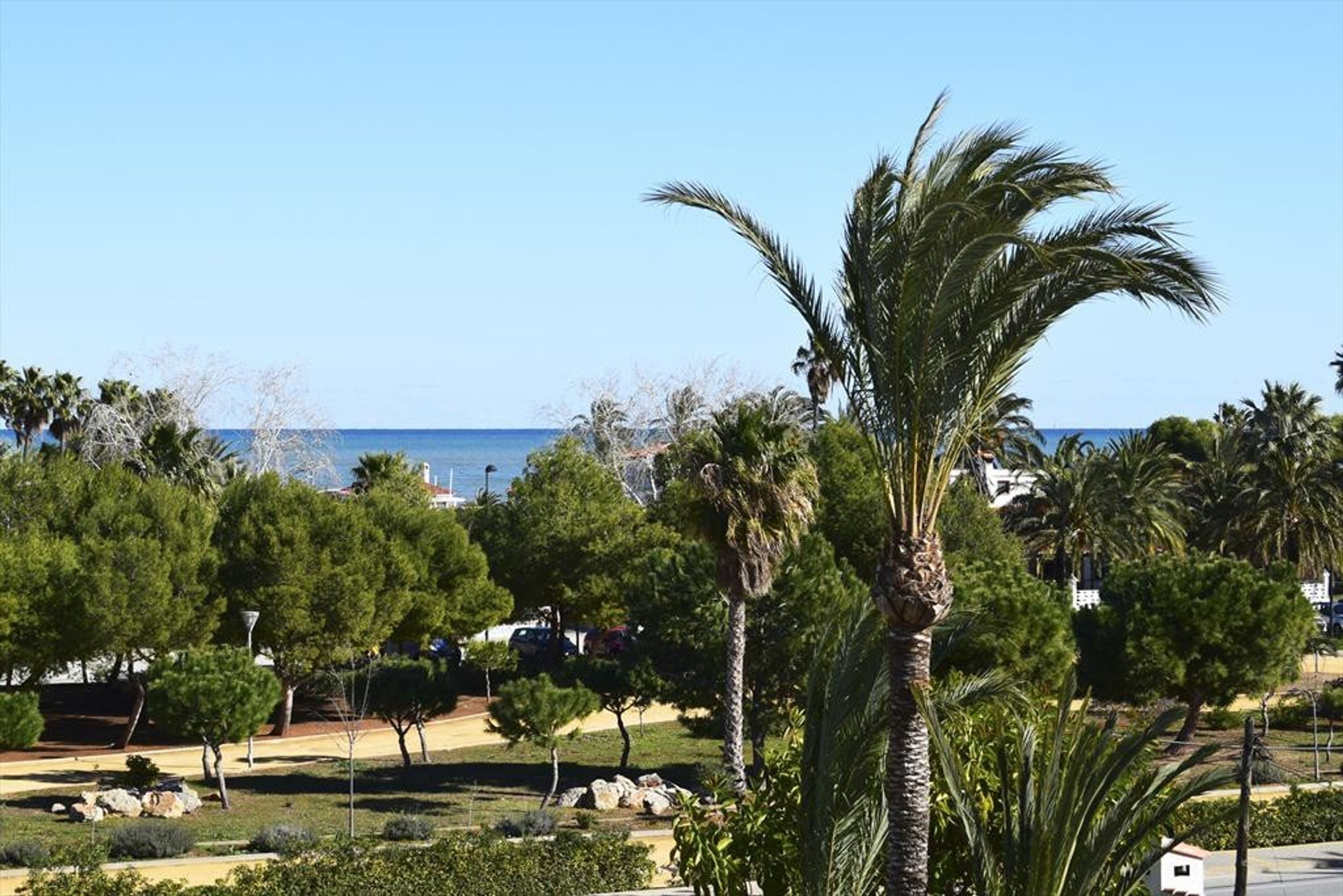 A coastal park with palm trees, a clear sky, and a view of the sea.