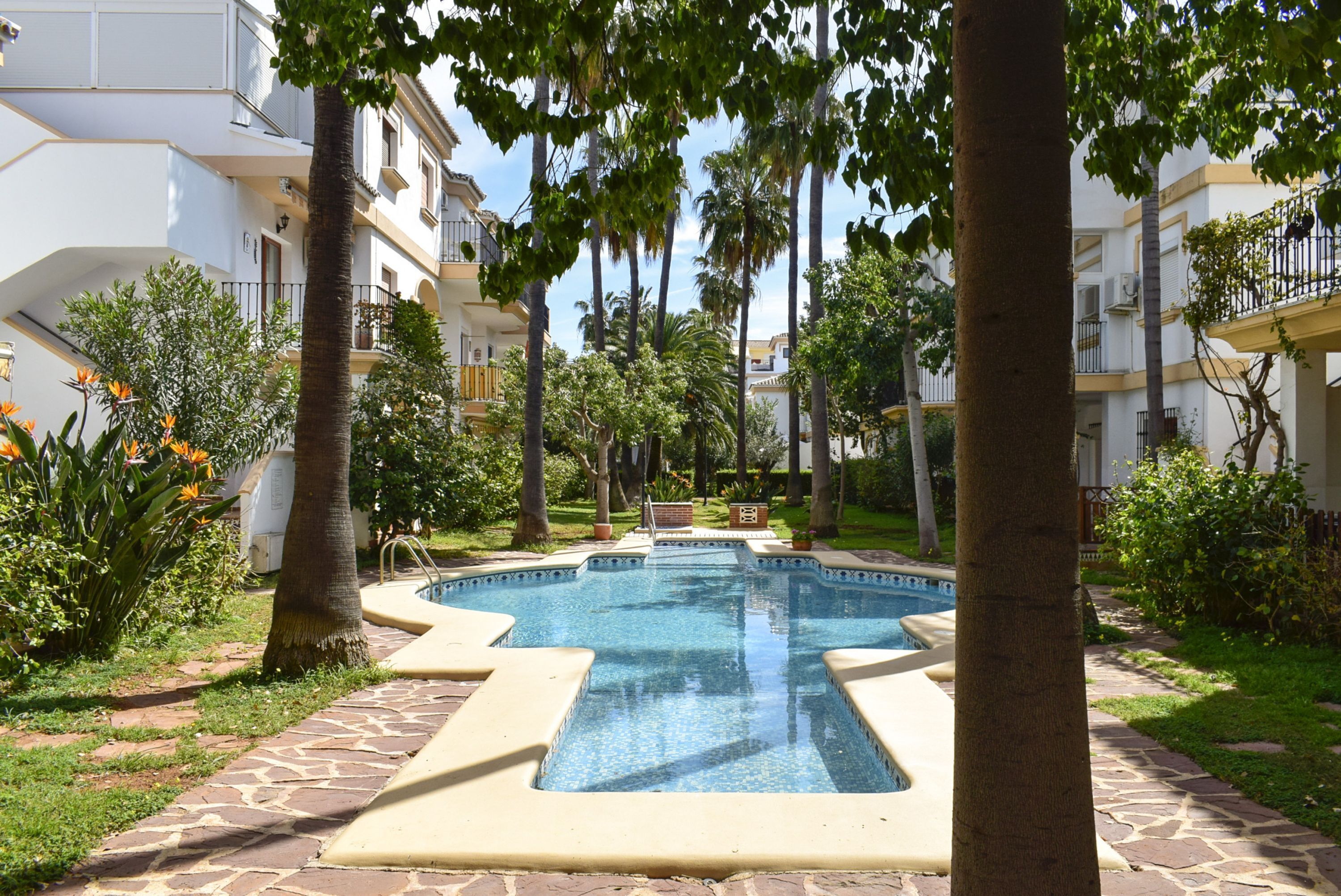 Una piscina rodeada de palmeras y un camino de piedra.