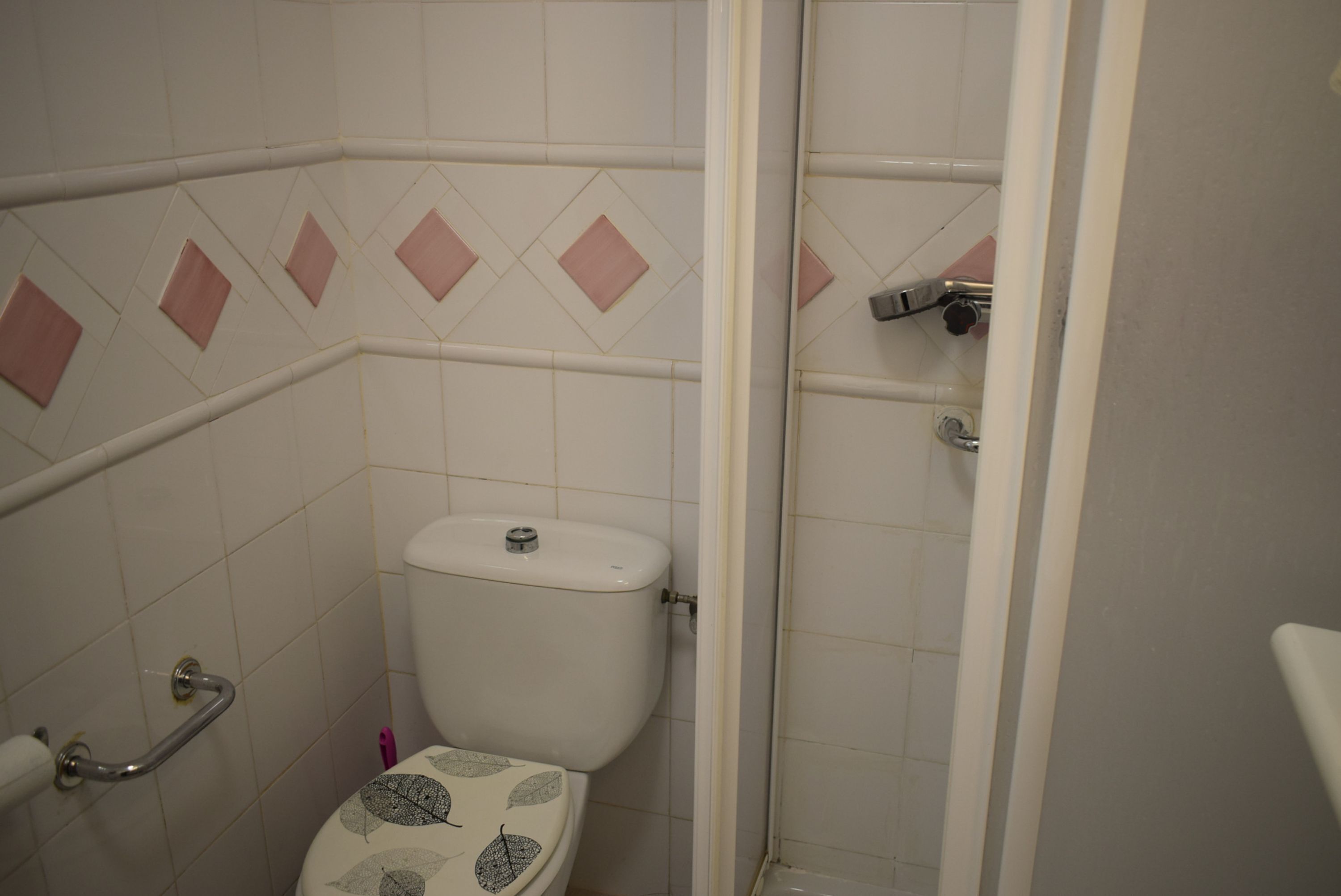 A bathroom with a toilet, a shower, and a grab bar.