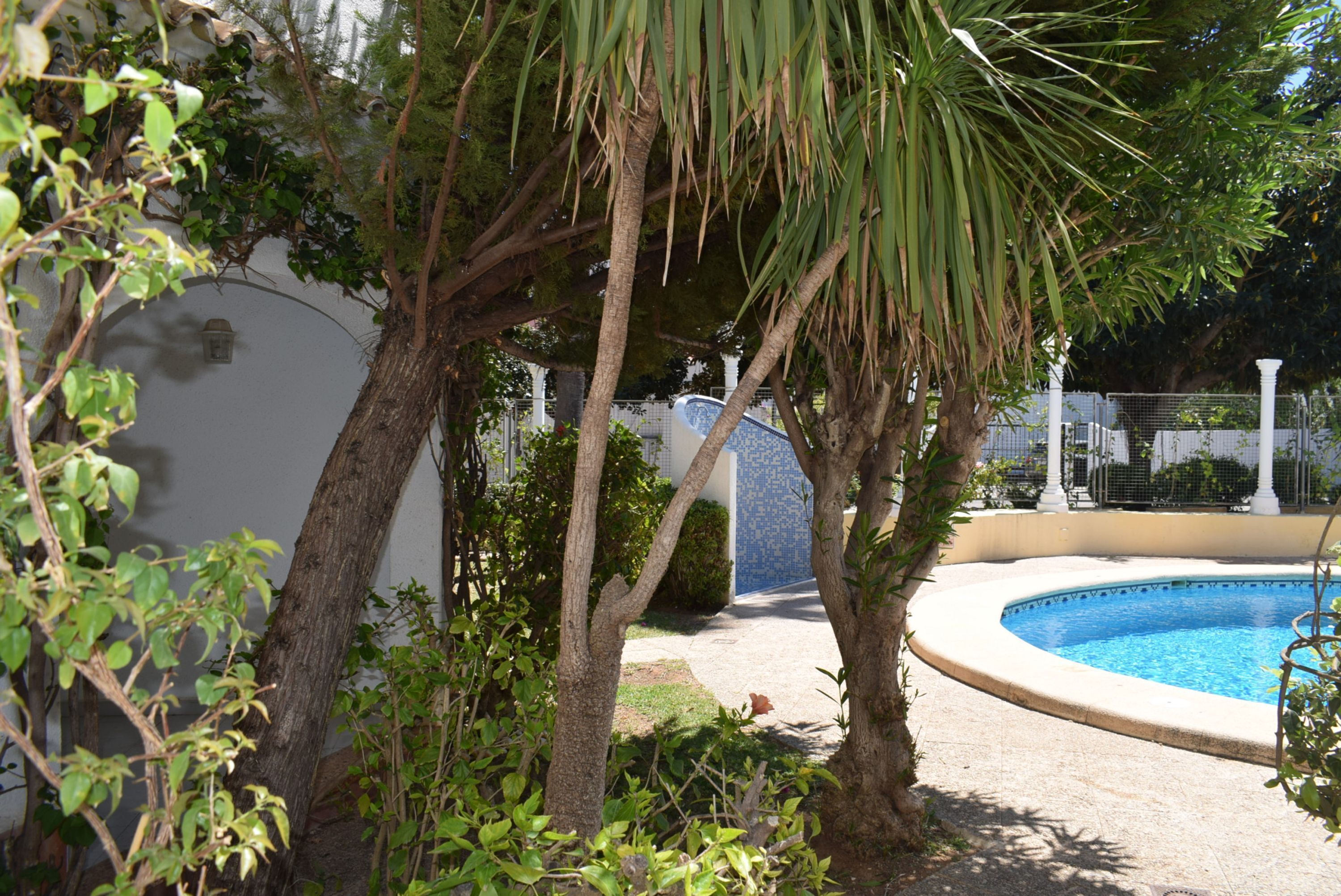 A swimming pool surrounded by trees and a white wall.