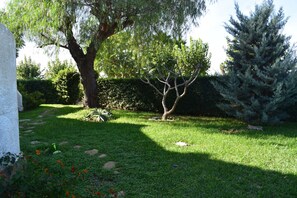 A garden with a variety of trees, a white wall, and a stone pathway. - Pb2103 in Denia With 2 Bedrooms and 1 Bathrooms (Denia)
