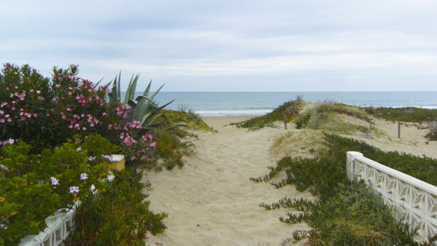 Ein Sandweg am Strand führt zum Meer, umgeben von viel Grün und einer Zierzaun.