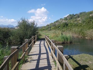 A wooden boardwalk leading to a body of water, surrounded by greenery and hills. - Ch1100 in Oliva With 2 Bedrooms and 2 Bathrooms (Oliva)