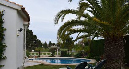 Anacasa Oliva Nova MET Ch1100