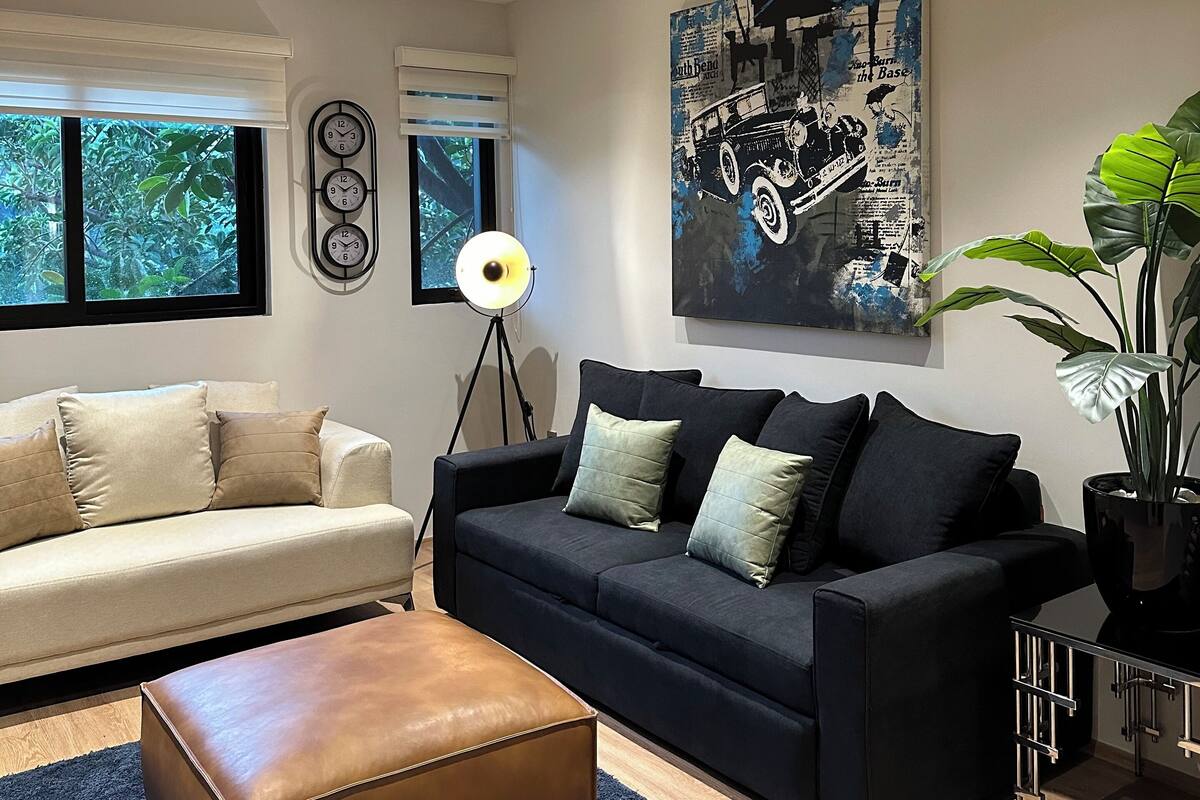 A modern living room with a beige sofa, a black sofa with cushions, a brown ottoman, and a large potted plant.