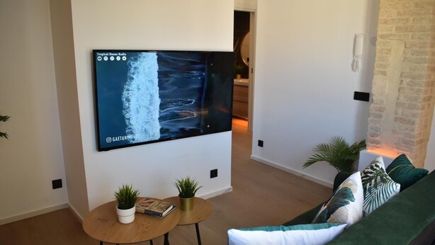A modern living room with a large TV mounted on the wall displaying 'Tropical House Radio'. There is a green sofa with patterned cushions, a small wooden table with two potted plants, and a book. - Apartment & Boutique Meraki 1 bedroom. (Ontinyent)