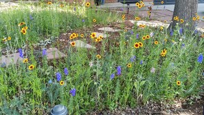 Un jardin avec différentes sortes de fleurs et un arbre devant un bâtiment à la façade en briques, avec une porte de garage.