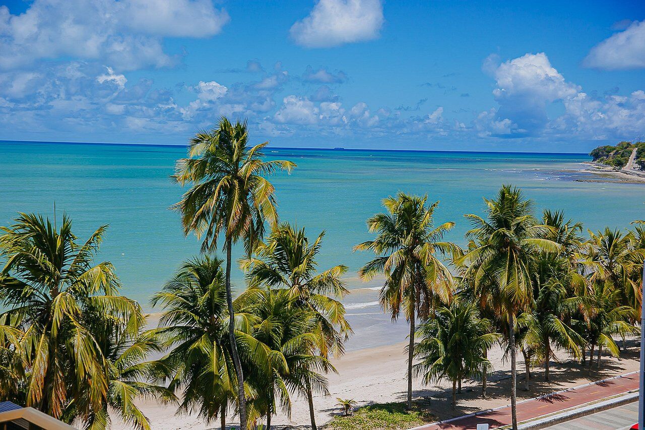 A beach with palm trees and a clear blue sky.